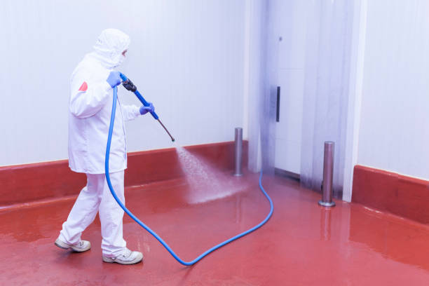 Best Building Exterior Washing  in Hilmar Irwin, CA